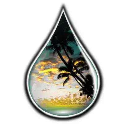 CBD For The People brand logo