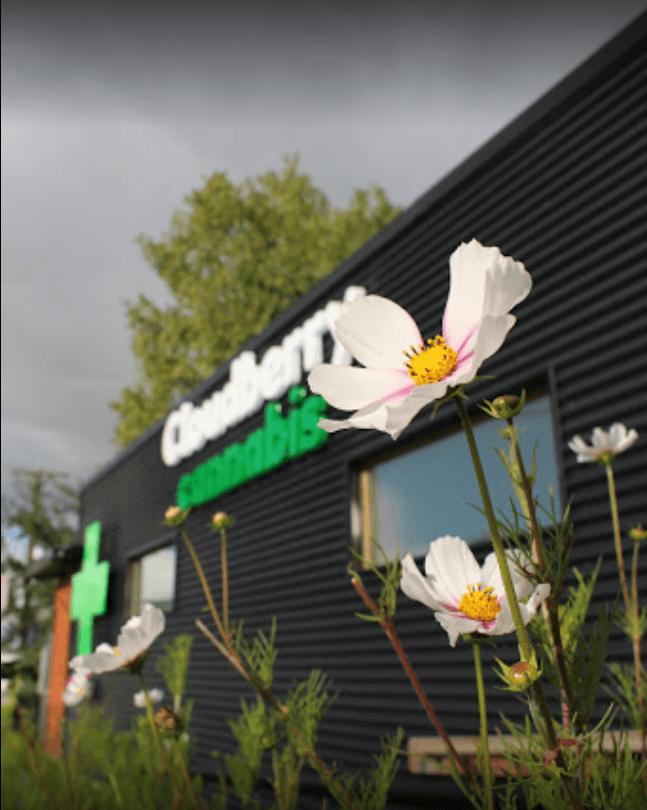 Cloudberry Cannabis Dispensary | Anchorage store preview image